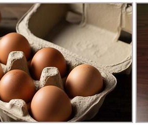 Pulp egg trays